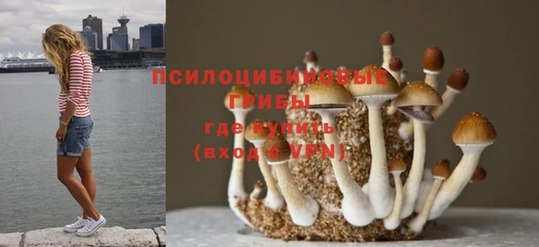 стаф Богородск