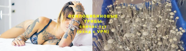 стафф Богородицк