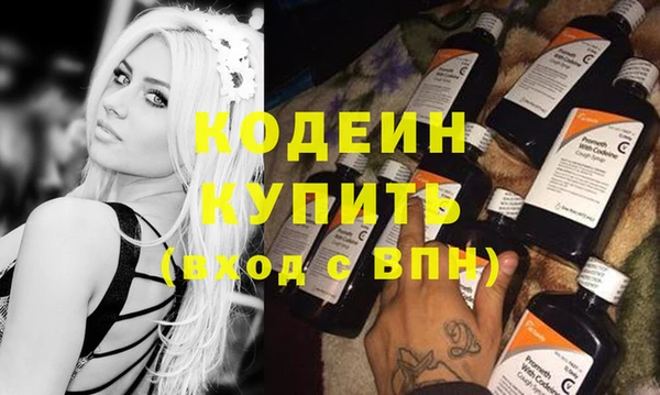 ГАЛЛЮЦИНОГЕННЫЕ ГРИБЫ Богданович