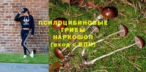 стафф Богородицк