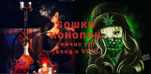 стаф Богородск