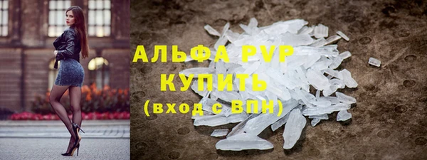 стаф Богородск