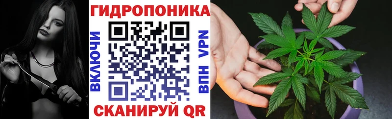 Конопля сатива Бузулук
